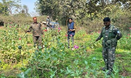 अवैध अफीम की खेती के खिलाफ