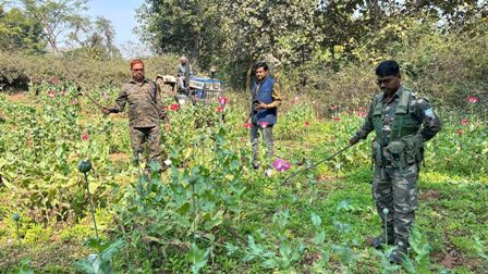 अवैध अफीम की खेती के खिलाफ