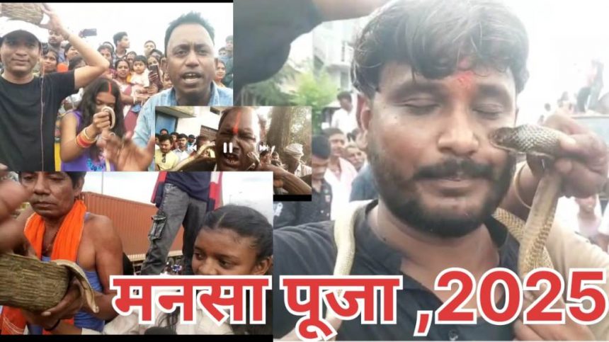 Mansa Puja
