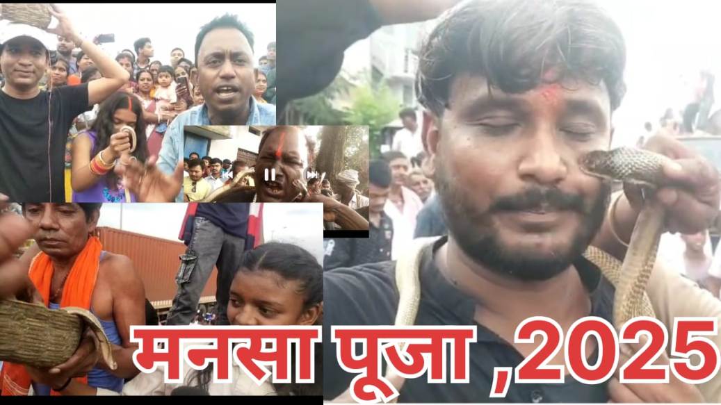 Mansa Puja